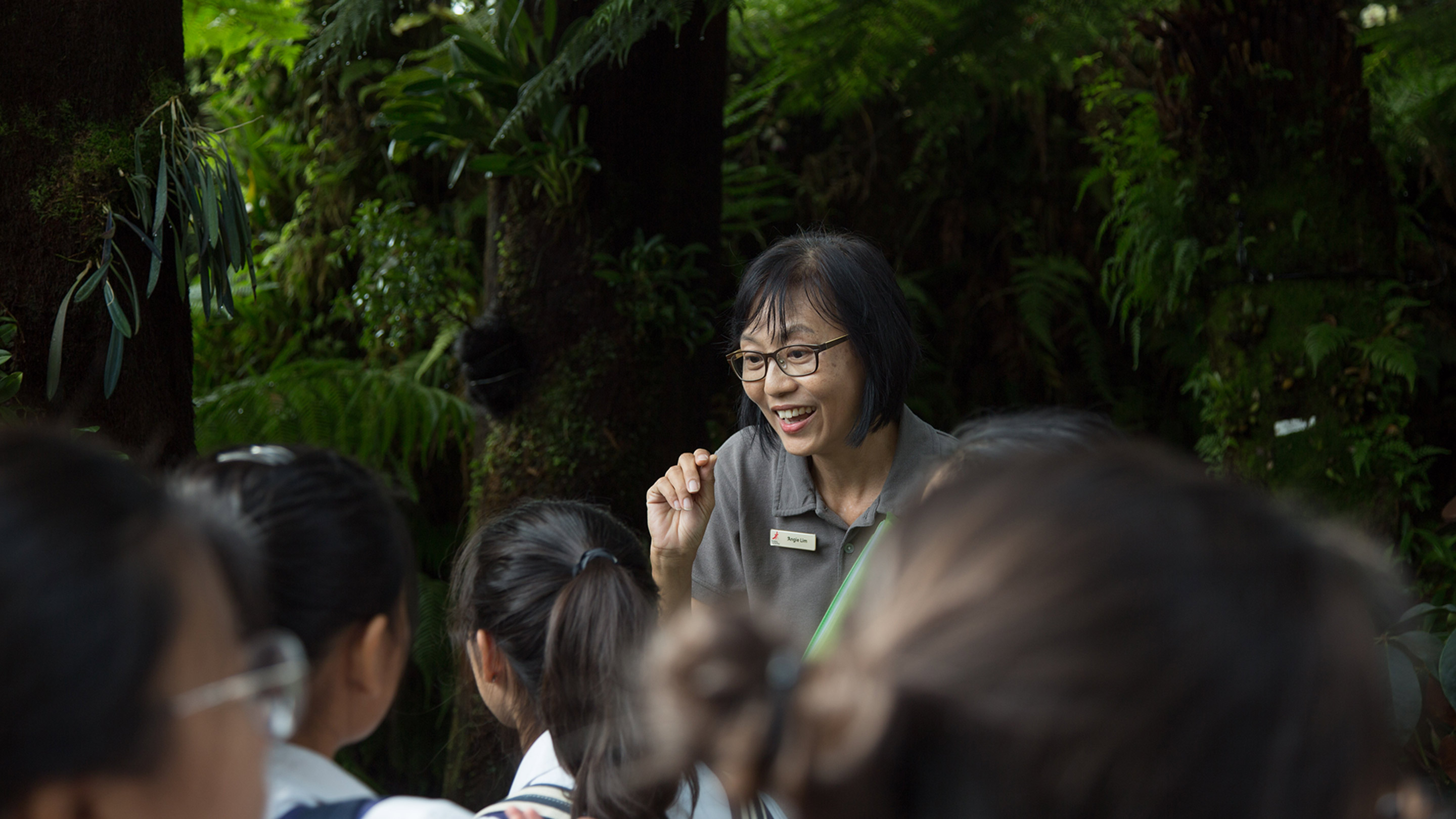 Gardens by the bay