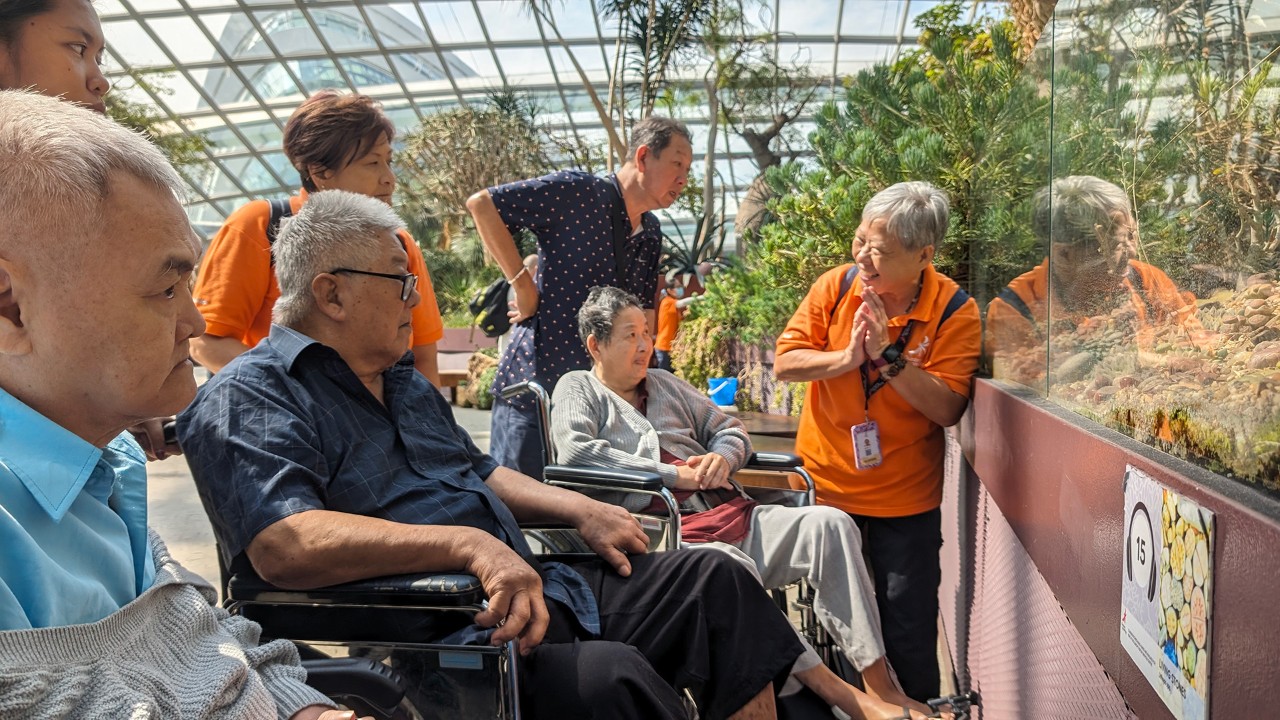 Botanical_Shillouettes_1